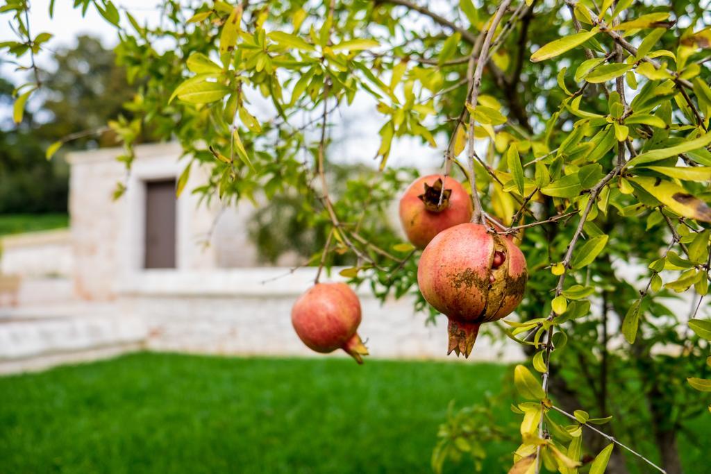 阿尔贝罗贝洛Masseria Paretano别墅 外观 照片